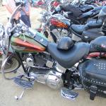 Baike_feslivale_v_Xua_Xine_2010_092.JPG